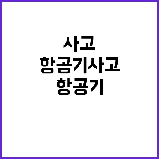 항공기 사고 책임자…