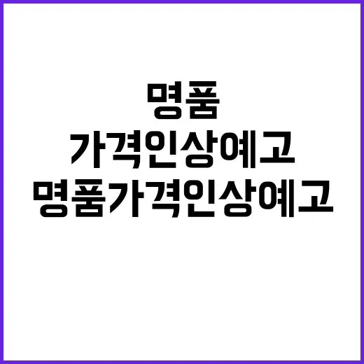 해외 명품 가격 인…