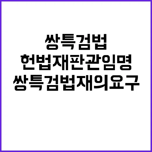 헌법재판관 임명 쌍…