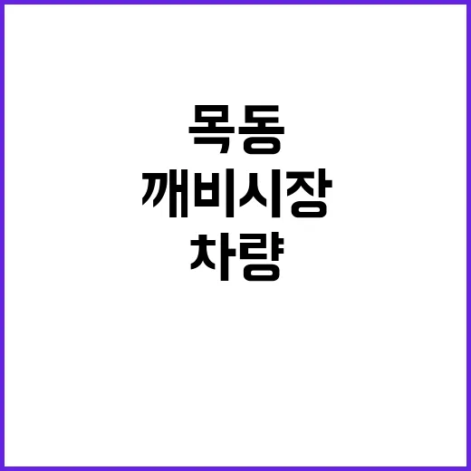 목동 참사 깨비시장…