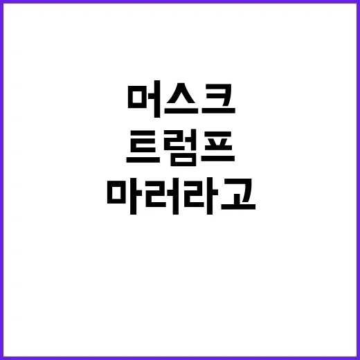 머스크 트럼프 성공…