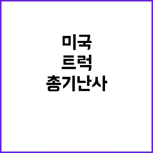 트럭 참사 미국 총…