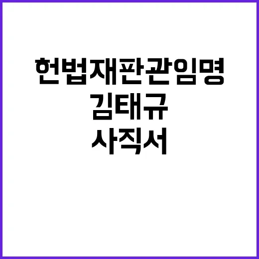 김태규 사직서 헌법…