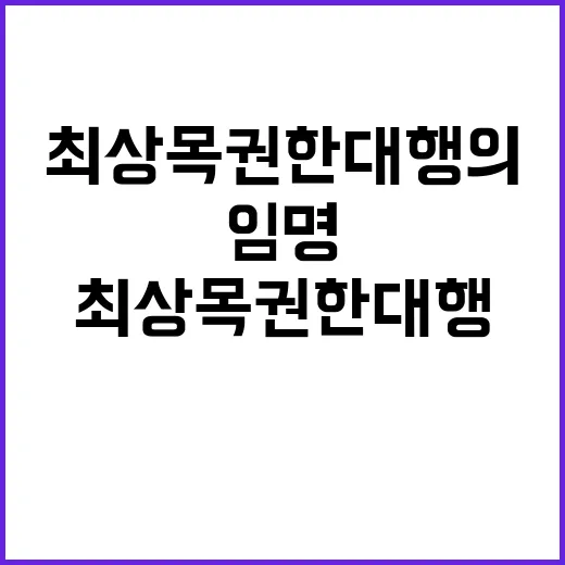 최상목 권한대행의 선택적 임명 삼권분립 위기?