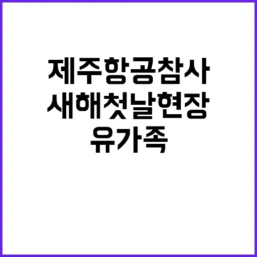 제주항공 참사 유가…