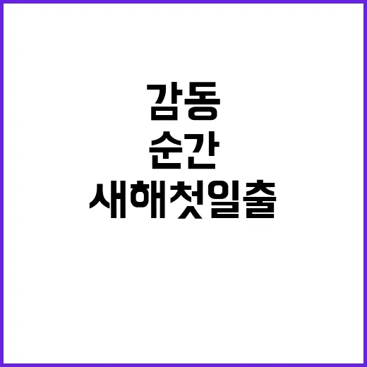 새해 첫 일출 감동…