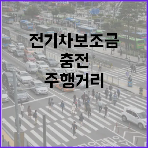 전기차 보조금 주행…