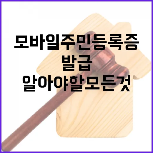 모바일 주민등록증 발급 당신이 알아야 할 모든 것!