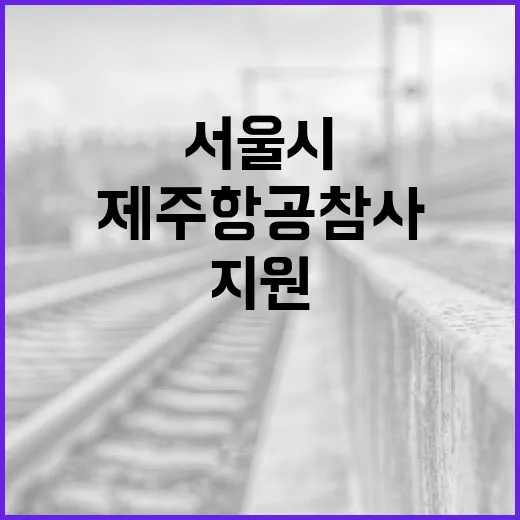 제주항공 참사 서울시 구호금 긴급지원 결정!