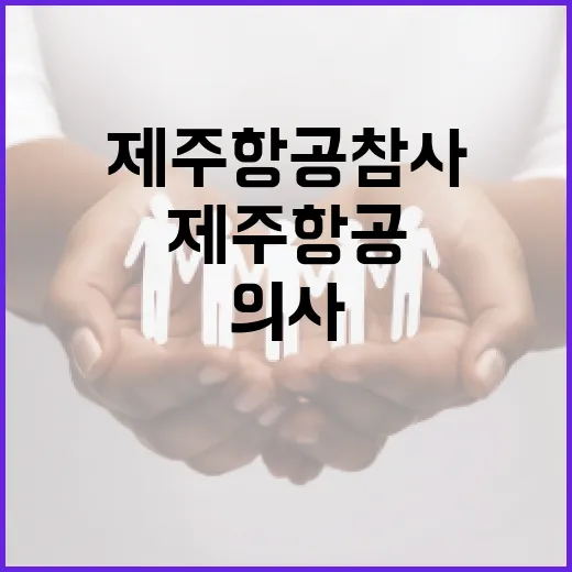 의사들 조롱글 제주…