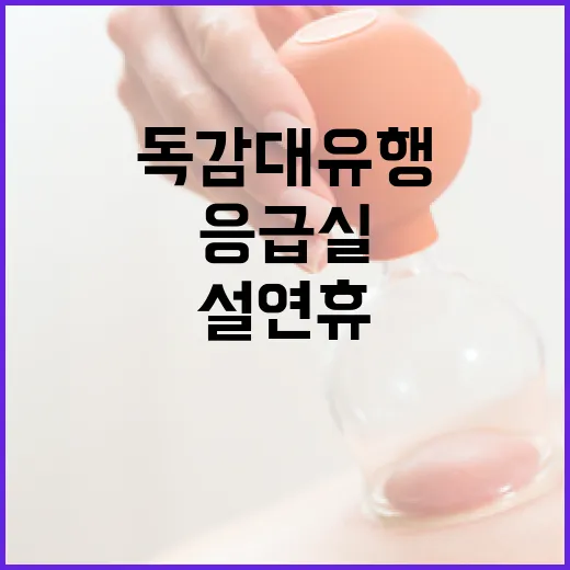 독감 대유행 응급실…