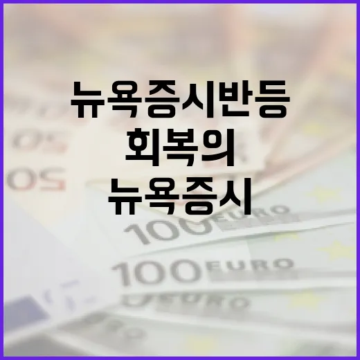 뉴욕증시 반등 시장…