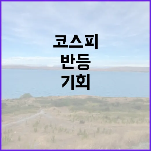 코스피 반등 포착된…