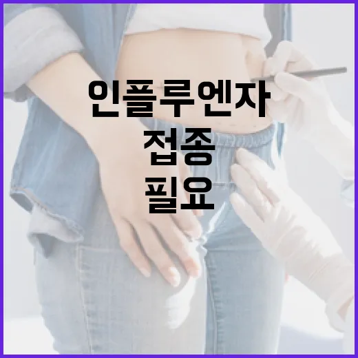 인플루엔자 경고 백…