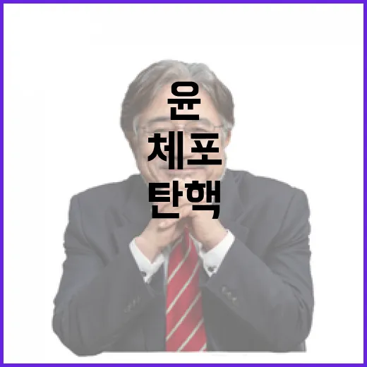 윤 체포 탄핵 시위…