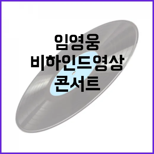 임영웅 콘서트 비하…