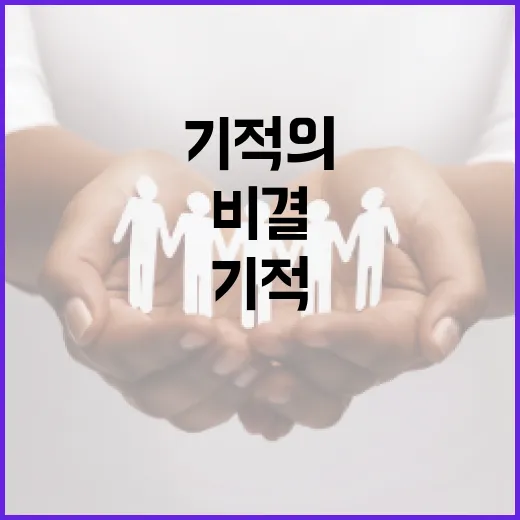 기적의 구조 310…