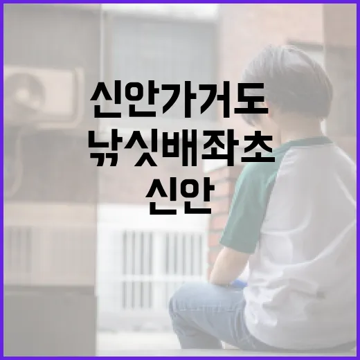 해경 사고 신안 가…