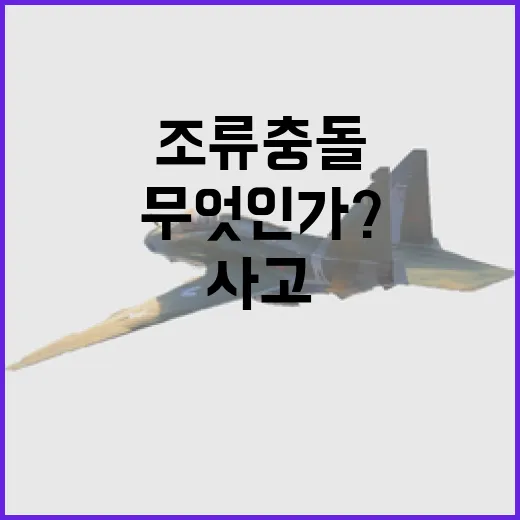 엔진 사고 조류충돌…