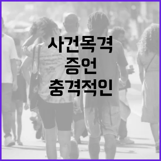 사건 목격 시민들의…