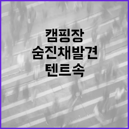 비극 캠핑장 텐트 …