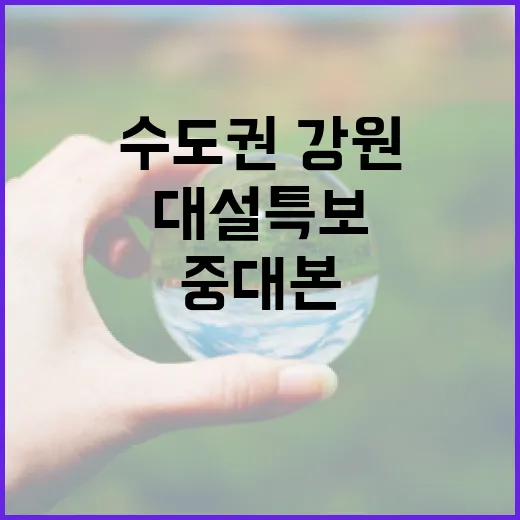 대설특보 중대본 가…