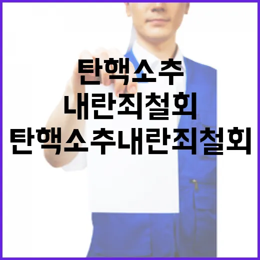 이재명 정치 셈법 논란 탄핵소추 내란죄 철회!