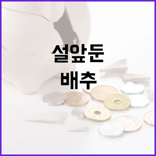 배추·무 가격 폭등…