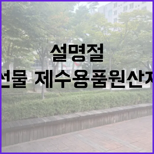 설 명절 선물·제수…