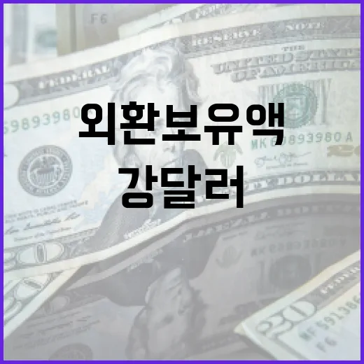 외환보유액 회복 강…