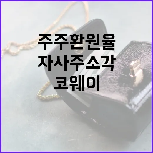 코웨이 자사주 소각…