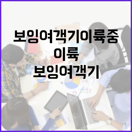 호주 보잉 여객기 …