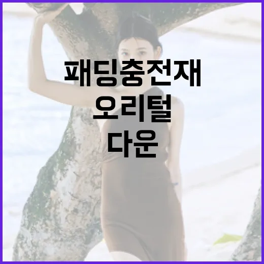 이랜드 패딩 충전재…