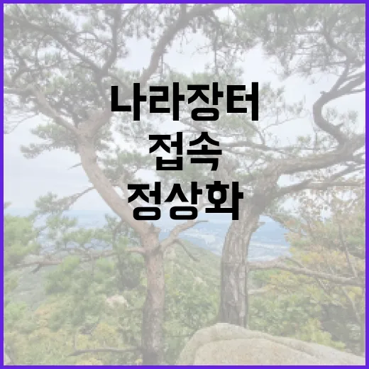 나라장터 운영 정상…