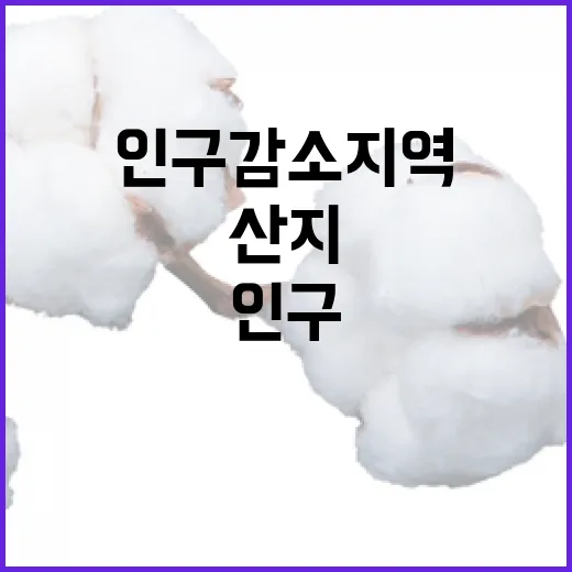 산지 개발 자유화 …