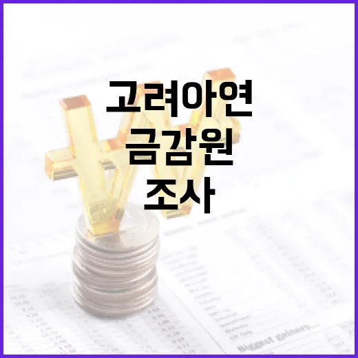 금감원 고려아연 경…