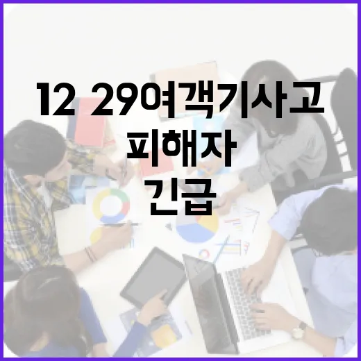 12·29 여객기 …