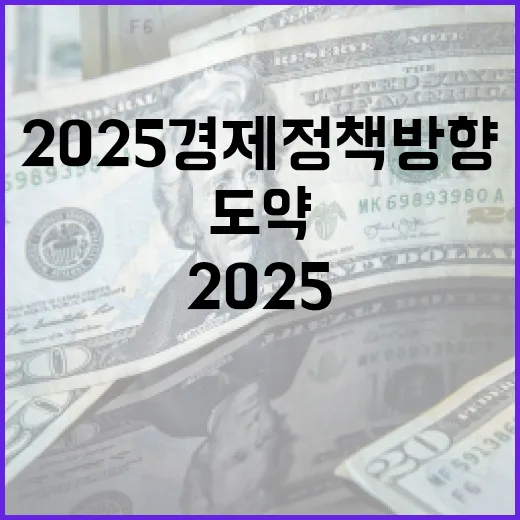 2025 경제정책 …