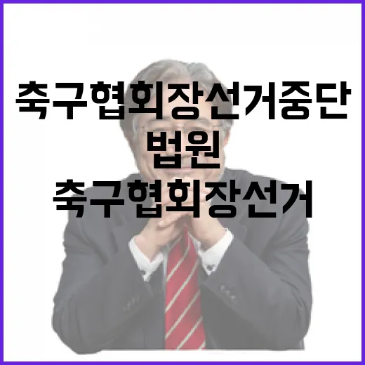 축구협회장 선거 중…