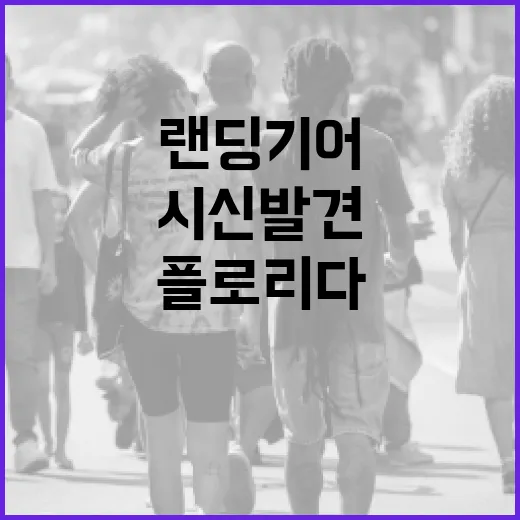 플로리다 비행기 랜…