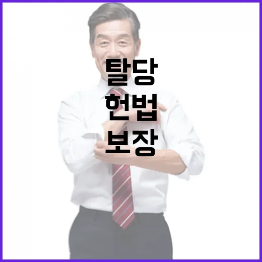 탈당 압박 헌법·당…