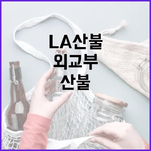 LA산불 우리 국민…