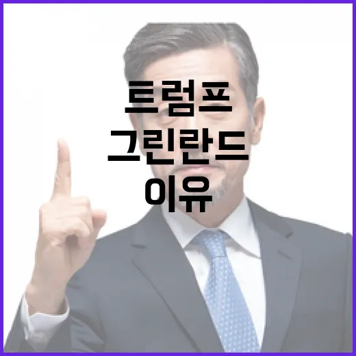 트럼프 그린란드 매…