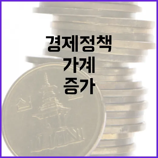 경제정책 변화 가계…