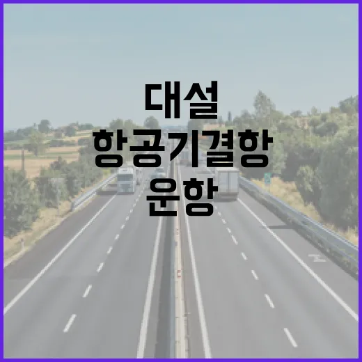 대설 충격 항공기 …