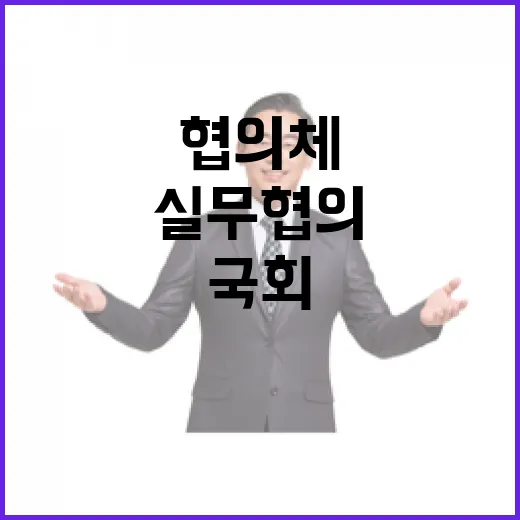 국회정부 협의 실무…