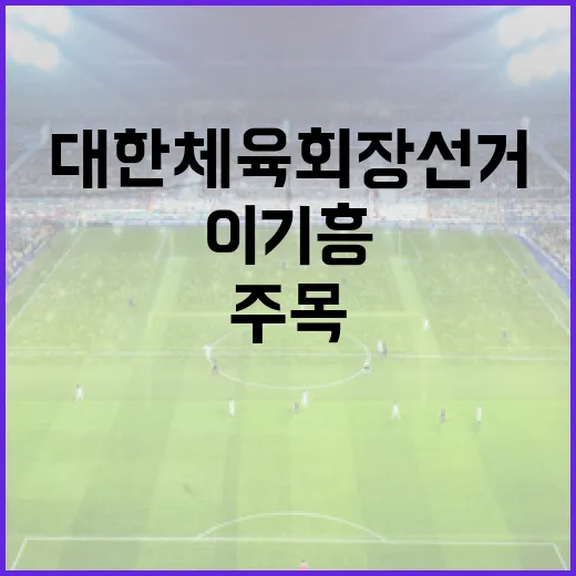 대한체육회장 선거 …