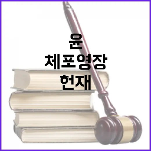 헌재 윤 체포영장 …