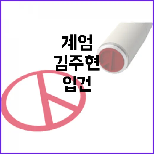 김주현 입건 계엄 …