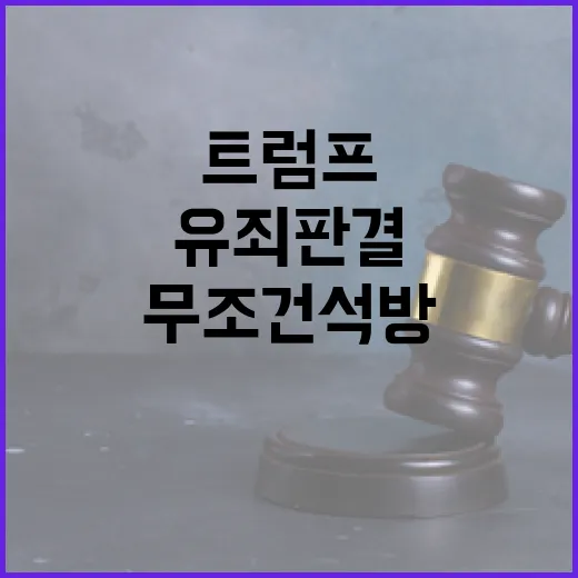 트럼프 법원 유죄 …